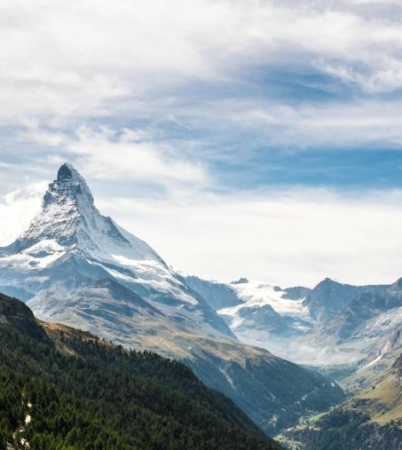 深浅粉象的区别