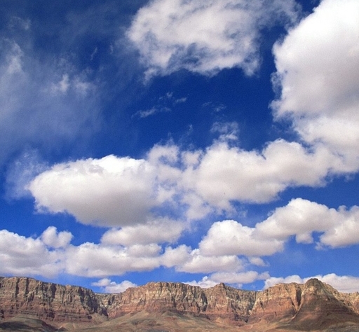 粉象生活可以赚钱吗