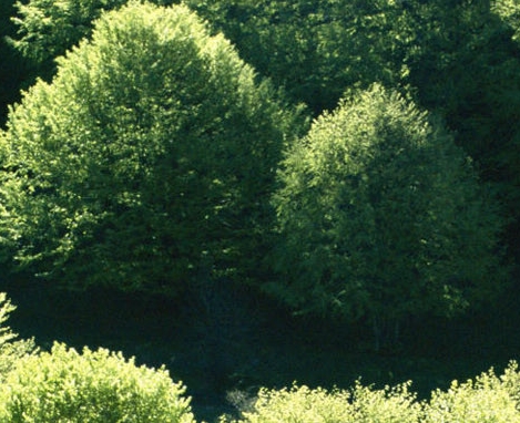 山东运营粉象生活好不好
