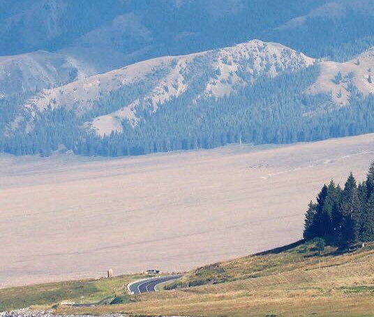 粉象生活线下峰会