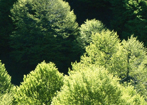 安徽铜陵生活怎么样