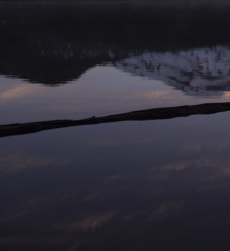 粉象生活升级vip的条件