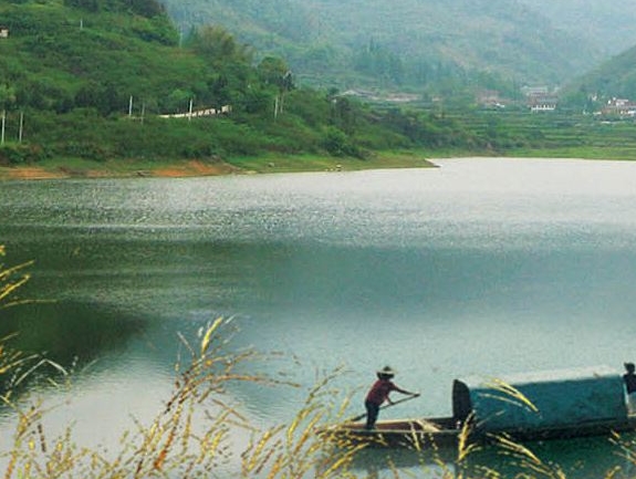 临沂粉象生活代理