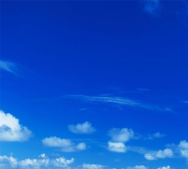 粉象生活最高佣金多少