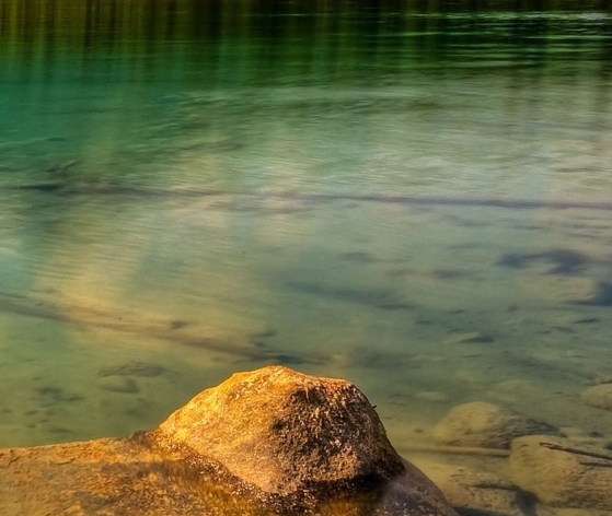 粉象生活是什么?