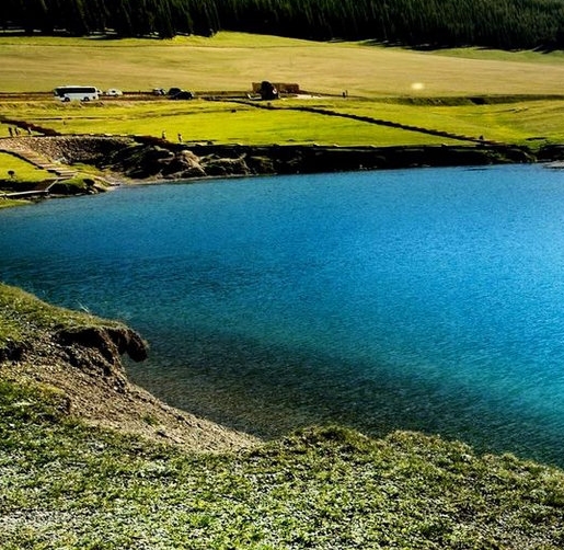 粉象生活商家版在哪里看