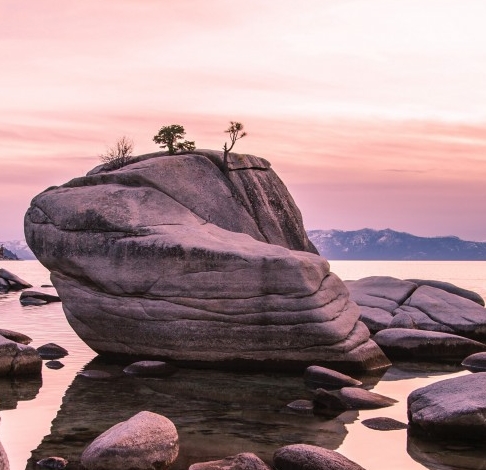 斑马生活在城市读后感