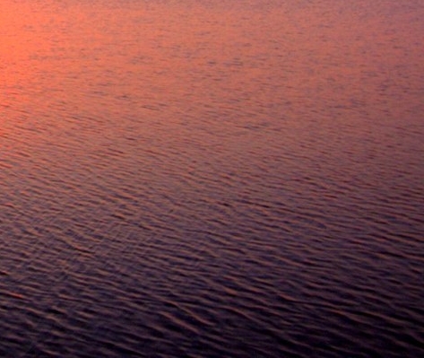 粉象生活打卡分现金