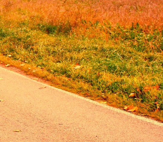 粉象生活赚钱要交税吗