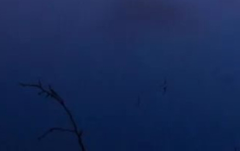 湘潭粉象生活app