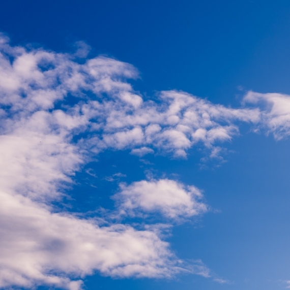 广东运营粉象生活