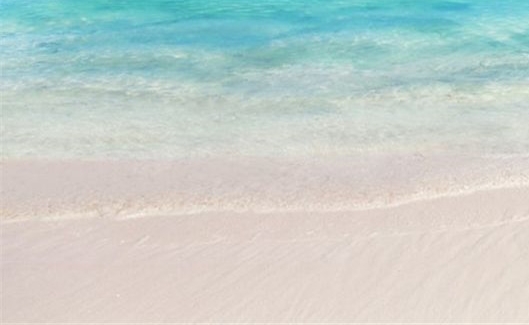 粉象生活买东西怎么送人