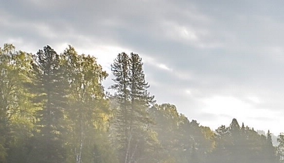 粉象生活日推广50人