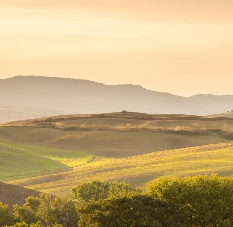 粉象生活能赚到钱吗