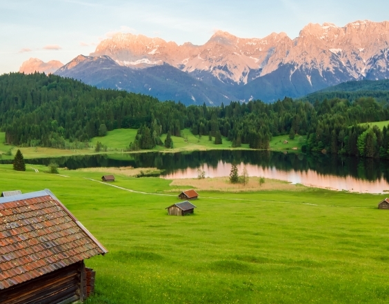 湖北品质粉象生活软件