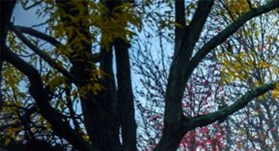 新手粉象生活怎么赚钱