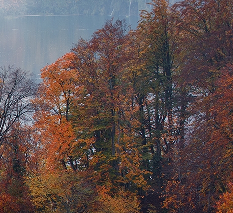 灵宝生活网官网