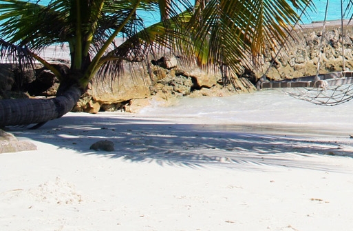 粉象生活注册网站