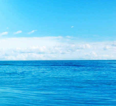 粉象生活能赚到钱吗