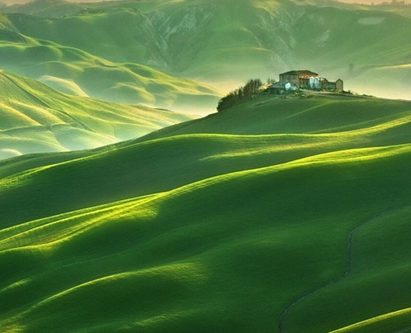 粉象生活邀请码