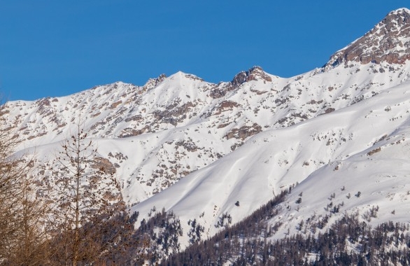新手粉象生活下载