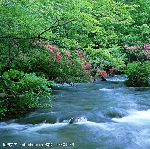 怎么开粉象生活