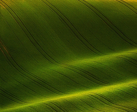 粉象生活怎么开店推广