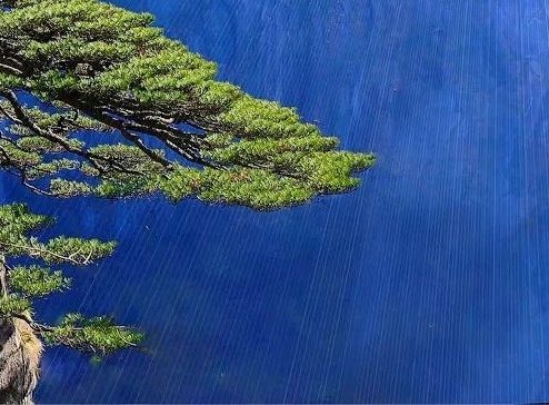 粉象生活如何快速推广产品