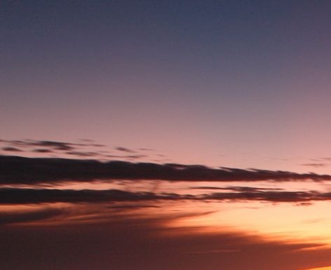 粉象生活能赚到钱吗