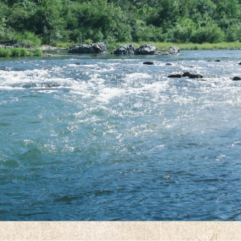 大六零暖气片的图片