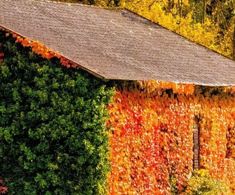 粉象生活下载app