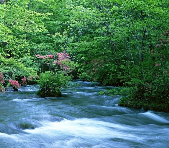 粉象生活技巧大全粉象生活