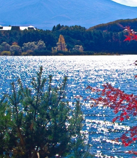 阿里巴巴与粉象生活