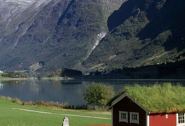 粉象生活是什么?