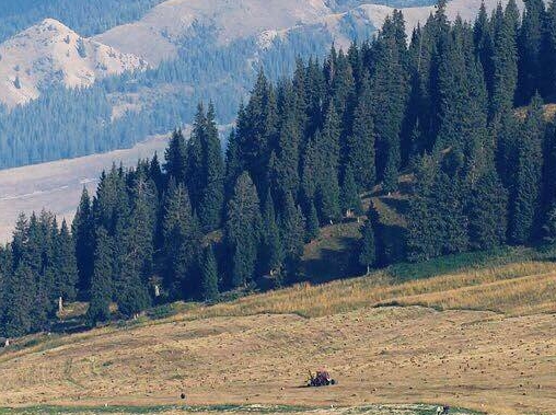 粉象生活怎么开展