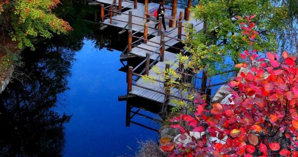 粉象生活游客身份