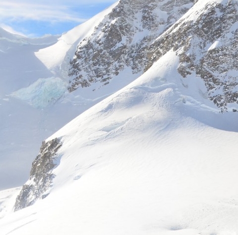 粉象生活能不能分享给朋友