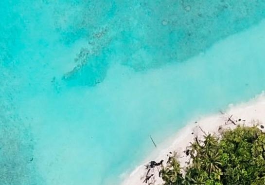 粉象生活怎么领券