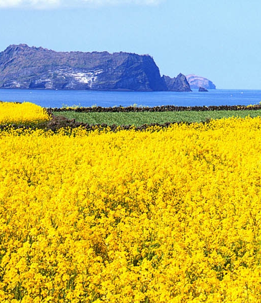 粉象生活粉丝怎么增加