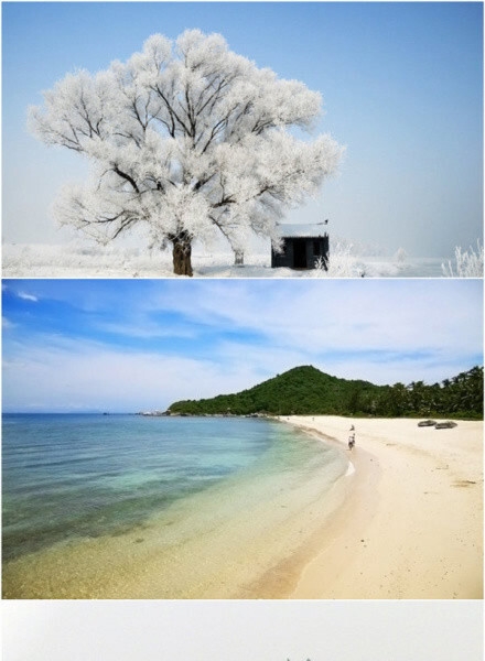 粉象生活下载app