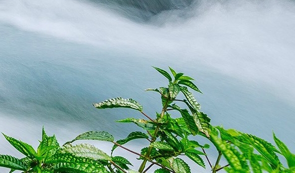 粉象生活宝妈如何挣钱