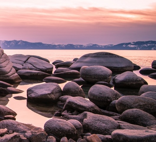 粉象生活下载app