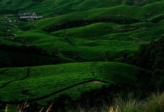 粉象生活怎么赚钱的