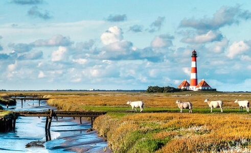 百跃古象羊奶粉优点