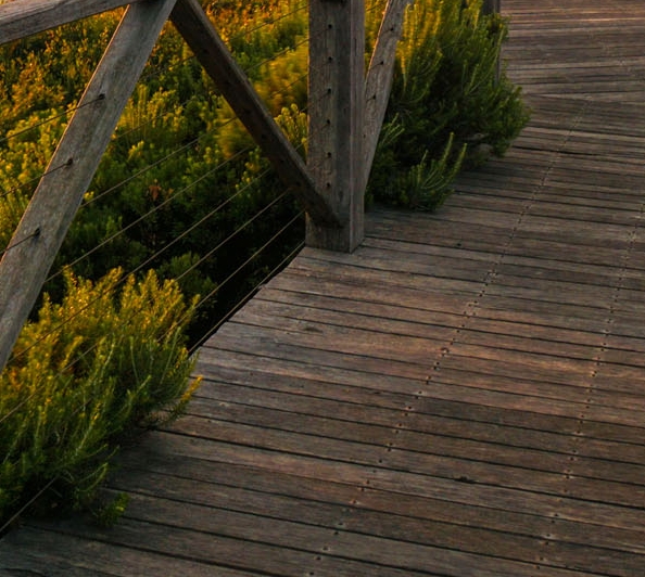 粉象生活邀请人