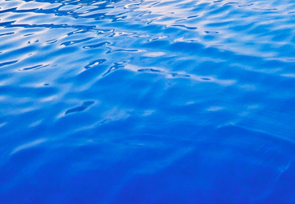 粉象生活收益图解析