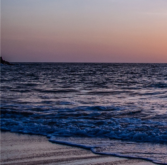 粉象生活总代理