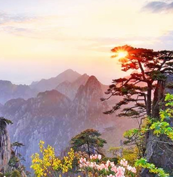 淘宝上的粉象生活怎么样