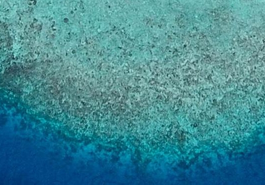 粉象世界app官方下载