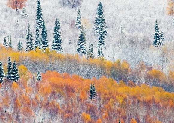 粉象生活为什么那么省钱